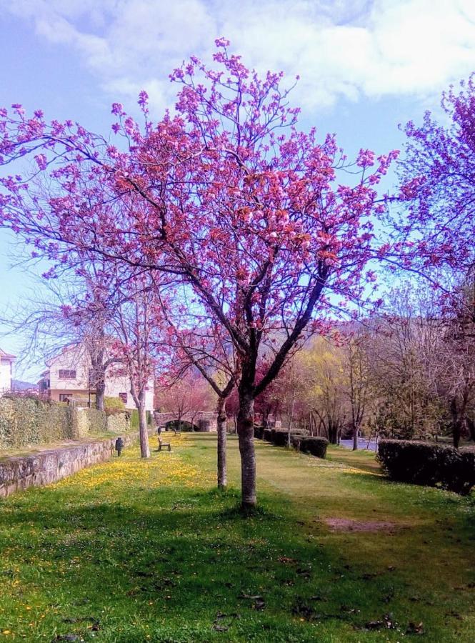 Apartamentos La Demanda Ezcaray Exteriér fotografie